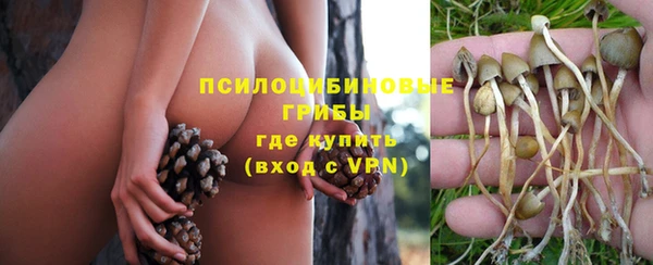 a pvp Протвино